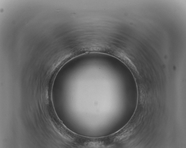 X0000063480251200601271702