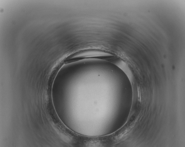 X0000063480252200601271702