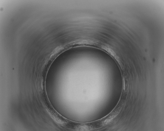 X0000063480253200601271702