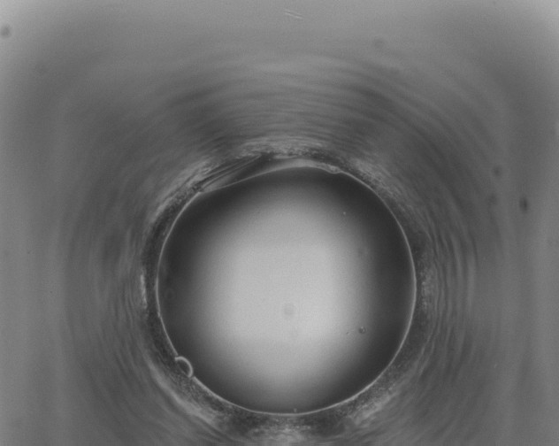 X0000063480254200601271702