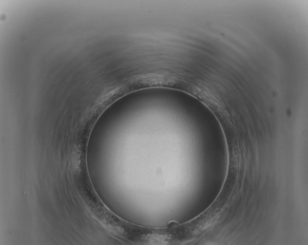 X0000063480255200601271702