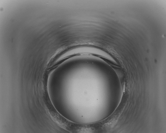 X0000063480256200601271702