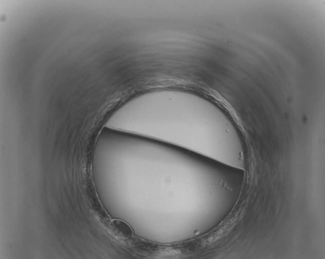 X0000063480257200601271702