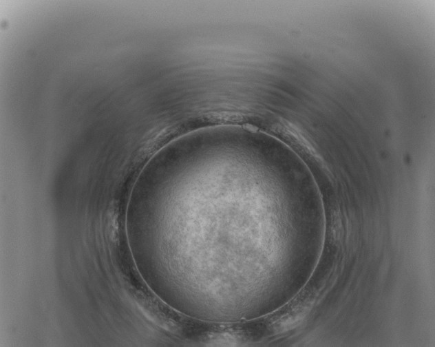 X0000063480259200601271702