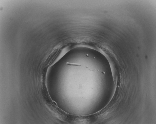 X0000063480260200601271702