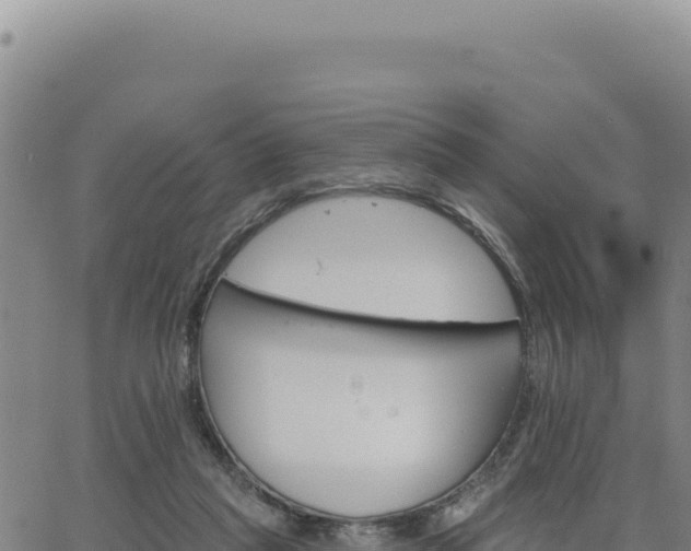 X0000063480261200601271702