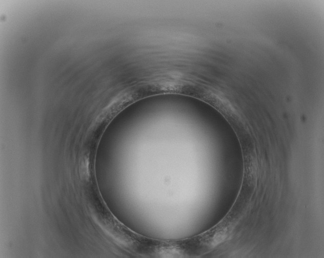 X0000063480262200601271702