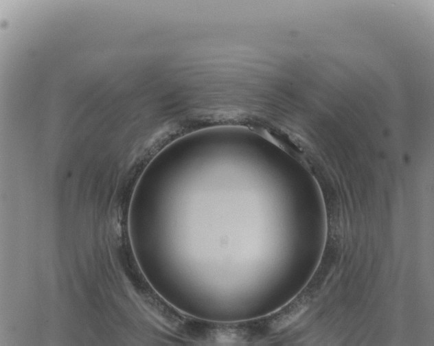 X0000063480264200601271702