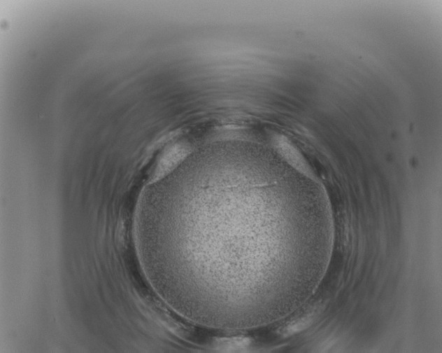 X0000063480266200601271702