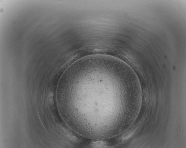 X0000063480269200601271702