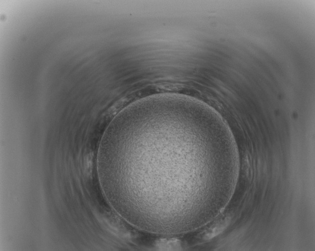 X0000063480271200601271702