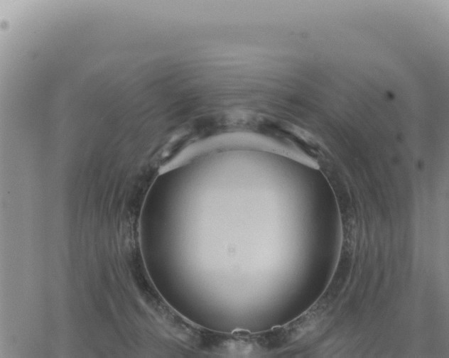 X0000063480272200601271702