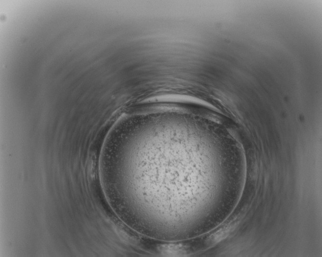 X0000063480273200601271702