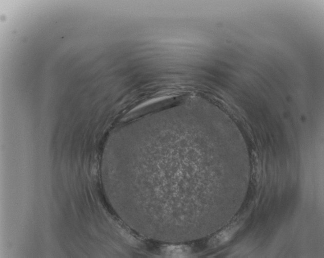 X0000063480277200601271702