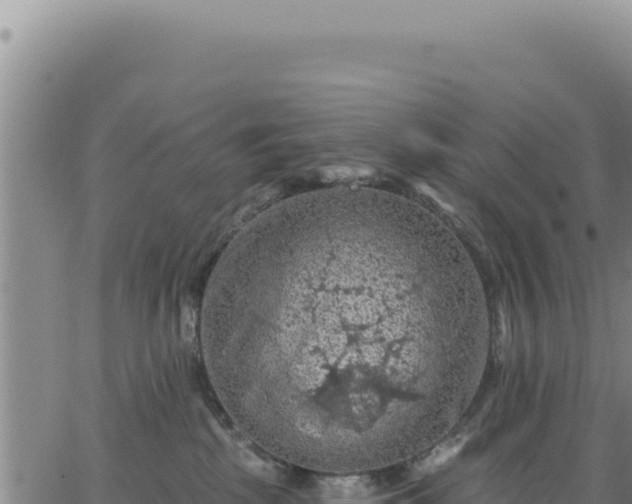 X0000063480281200601271702