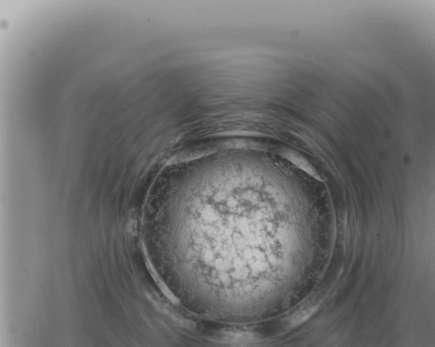 X0000063480284200601271702