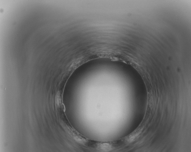 X0000063480287200601271702