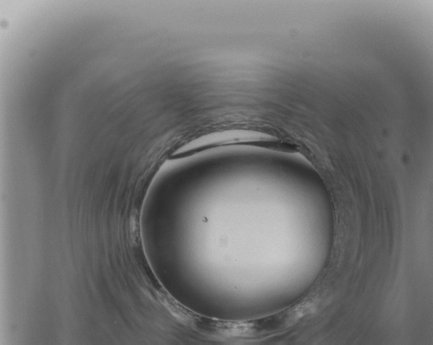 X0000063480288200601271702