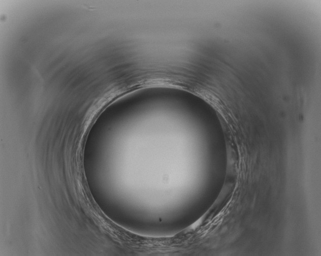 X0000063480289200601271702