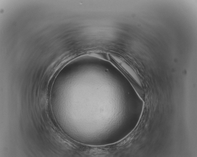 X0000063480290200601271702