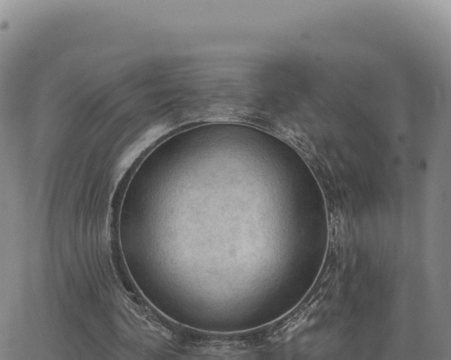 X0000063480292200601271702