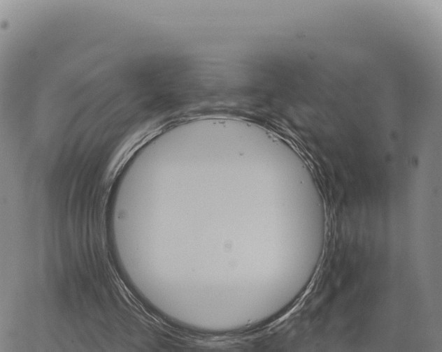 X0000063480293200601271702