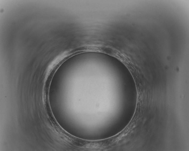 X0000063480294200601271702