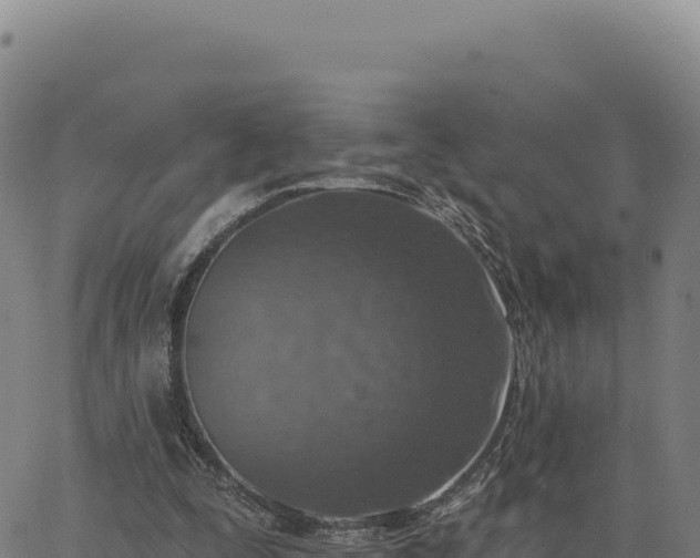 X0000063480295200601271701