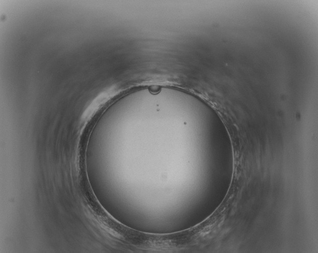 X0000063480296200601271701