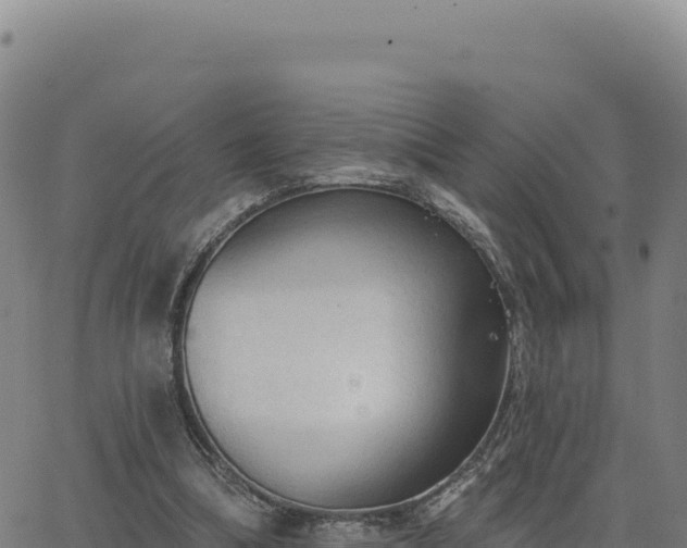 X0000063480298200601271701