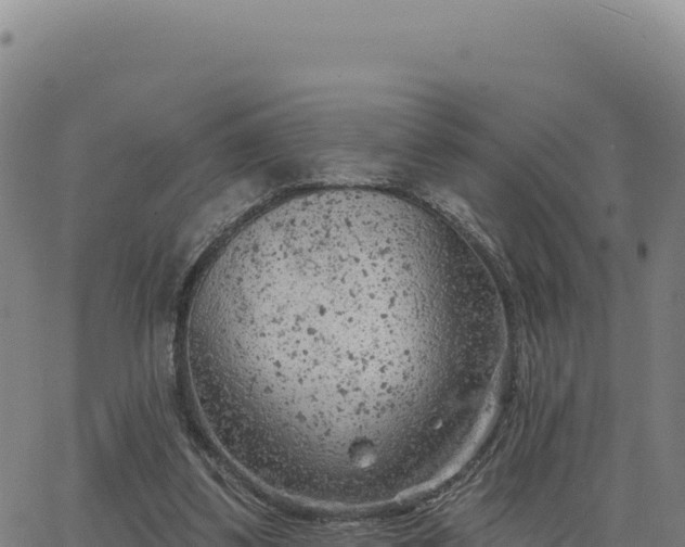 X0000063480299200601271701