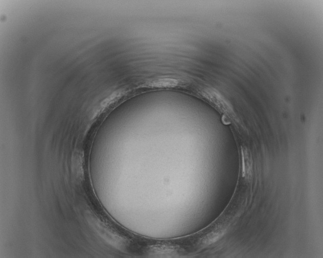 X0000063480300200601271701