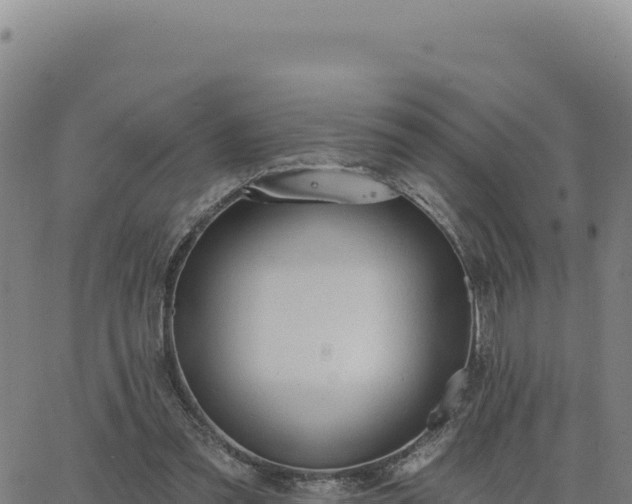 X0000063480301200601271701