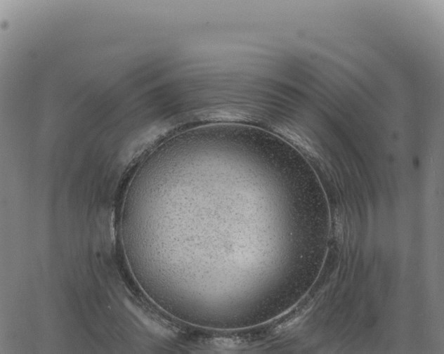 X0000063480302200601271701