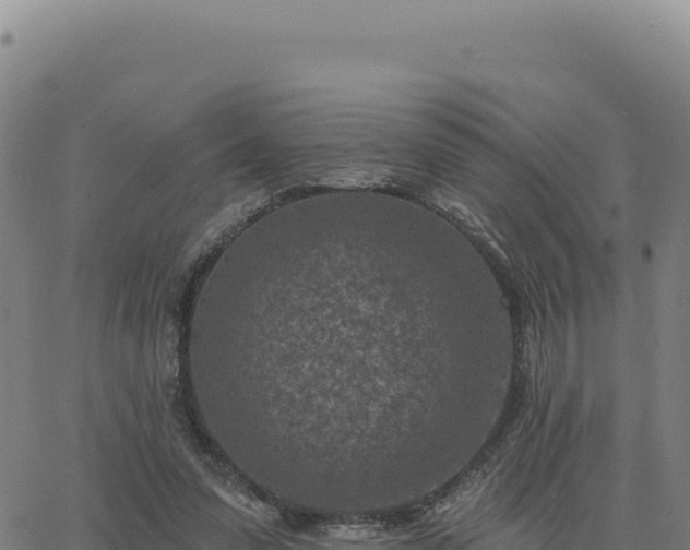 X0000063480303200601271701