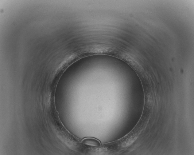 X0000063480304200601271701