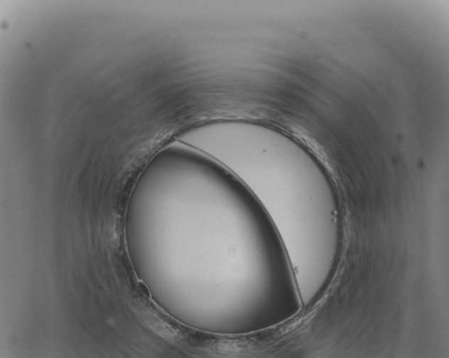 X0000063480305200601271701