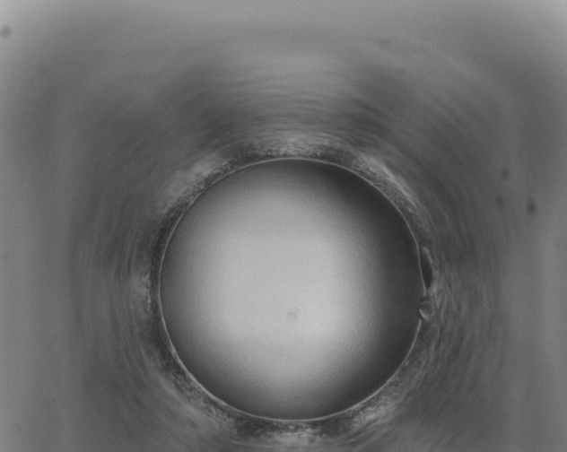 X0000063480306200601271701