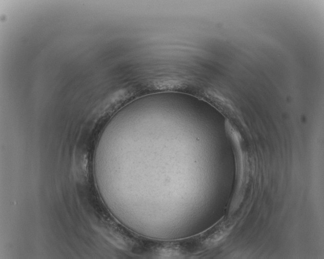 X0000063480308200601271701