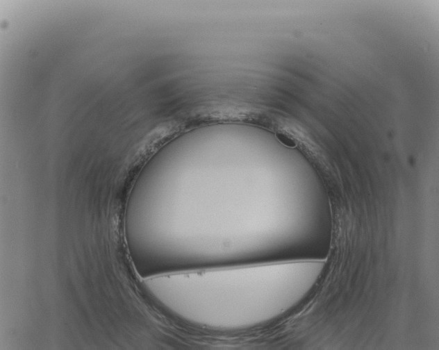 X0000063480309200601271701