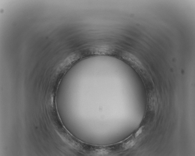 X0000063480310200601271701