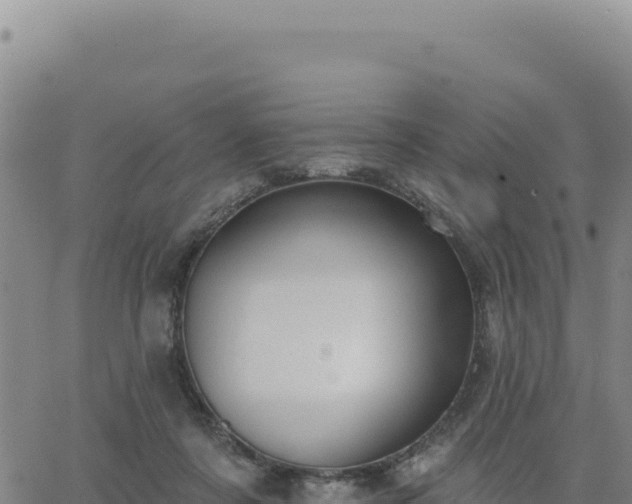 X0000063480311200601271701