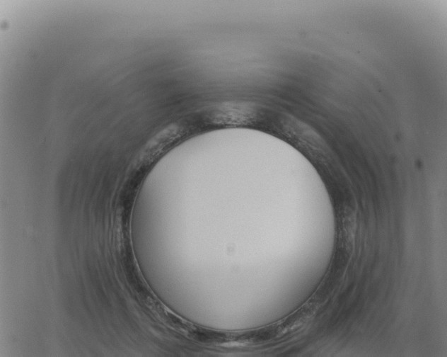 X0000063480312200601271701