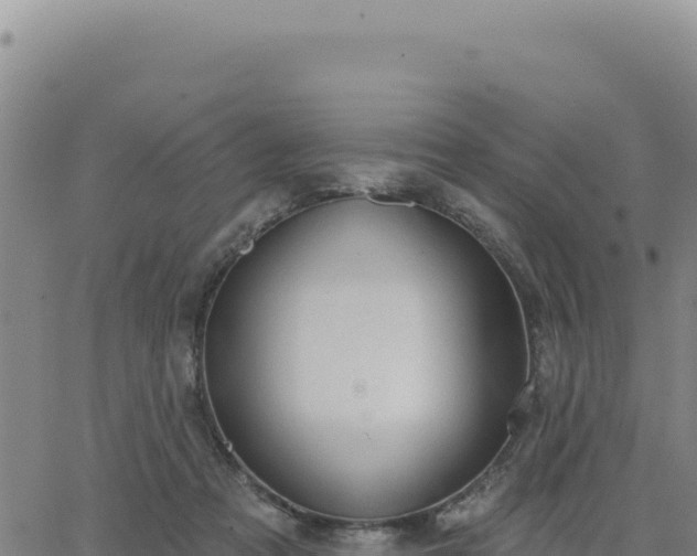 X0000063480313200601271701