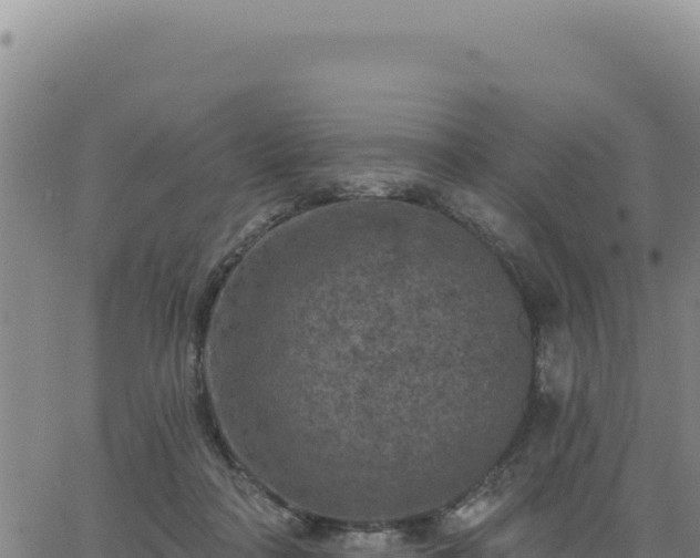 X0000063480314200601271701