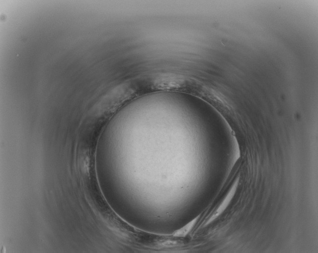 X0000063480315200601271701