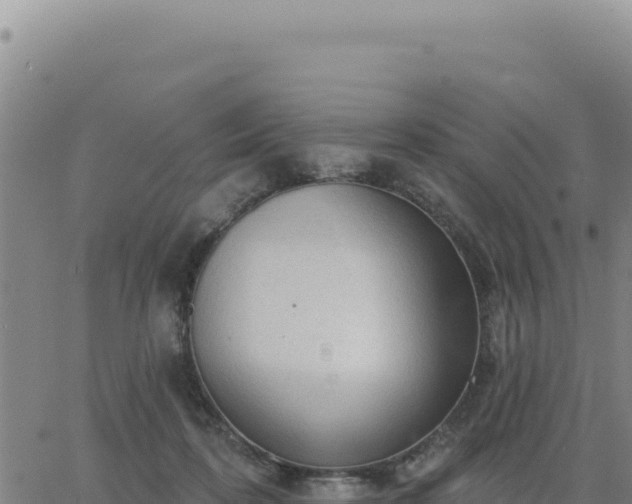 X0000063480316200601271701