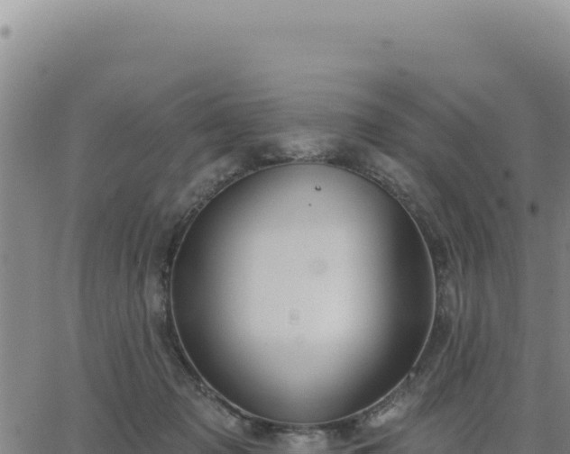 X0000063480317200601271701