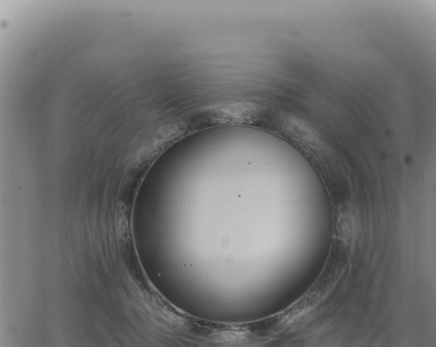 X0000063480318200601271701