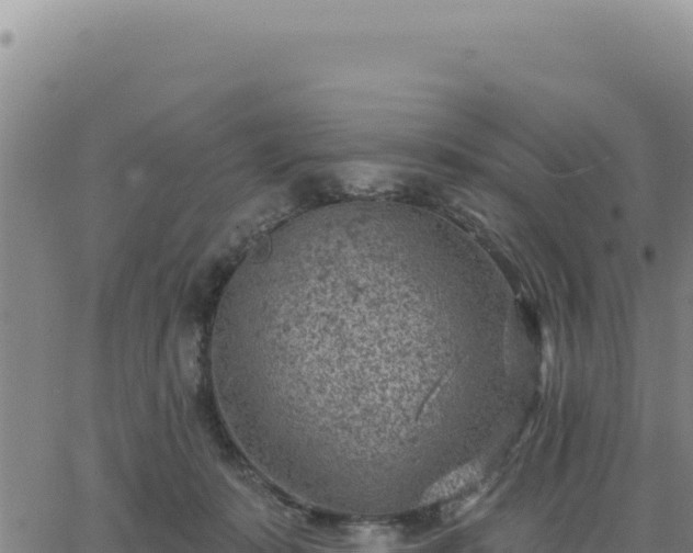 X0000063480319200601271701